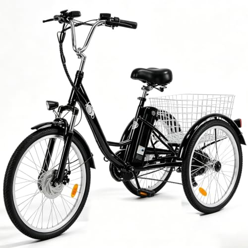 Pudari Elektrisches Lastdreirad M300,36 V, 22,5 Ah,herausnehmbarer Akku | 24Zoll-Reifen,CE/EN15194,mechanische Scheibenbremsen,hochbelastbare Vorderradgabel mit Federung,bürstenloser Motor