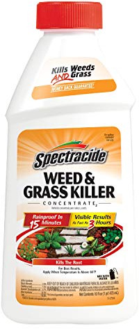 Spectracide Weed And Grass Killer Concentrate 16 Ounces, Use On Patios, Walkways And Driveways