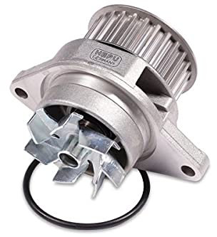 Hepu P556 Wasserpumpe