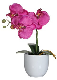 Mica decorations 949981 Phalaenopsis in Tusca Topf, Polyester, Violett, 15 x 15 x 26 cm