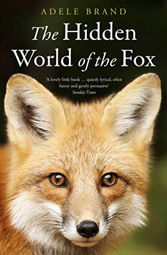 The Hidden World of the Fox (English Edition)