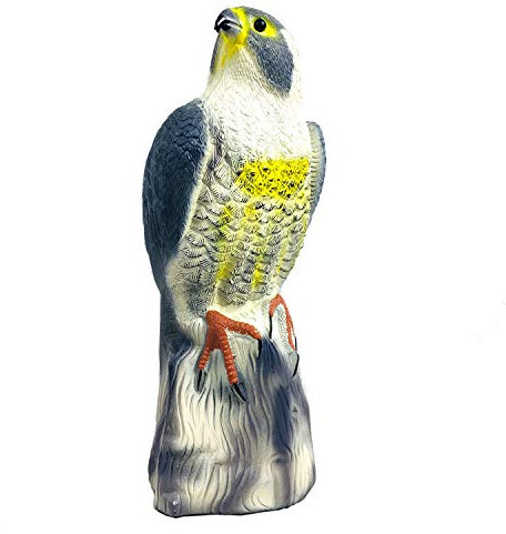 GIFTEXPRESS 42,9 cm Aquila spaventapasseri falco falco falco, repellente per parassiti, controllo degli uccelli, protezioni da giardino, decorazioni da giardino falco all'aperto, repellente per aquila
