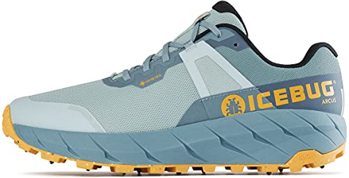 Icebug Arcus Women's BUGrip GTX CloudBlue EU 39