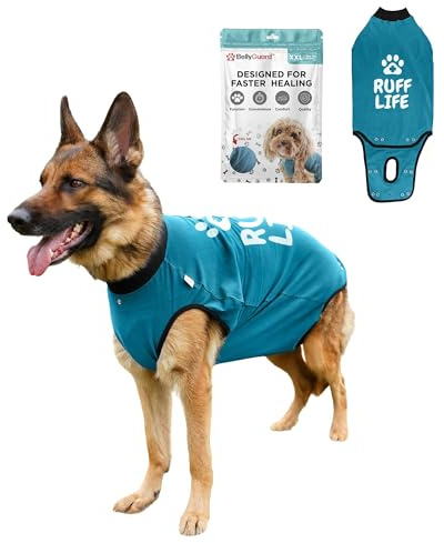 BellyGuard hundebody nach op hündin, op Body Hund kastration rüde, leckschutz für Hunde nach op, Hunde Body Operation hündin