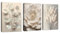 3 Pcs Neutral Beige Blumig Pflanze Leinwandbilder mit Rahmen, Boho Texturiert Blume Botanisch Wandbilder Beige Schlafzimmer Bild Auf Leinwand Kunstdruck Deko für Wohnzimmer zum Aufhängen 40x60cmx3Pcs