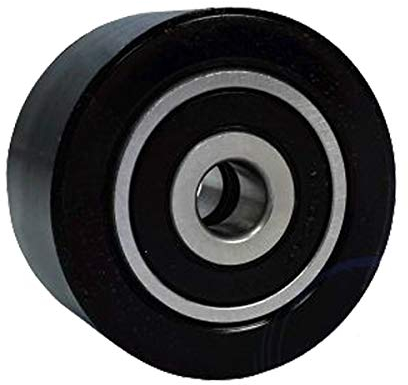 50 x 26 mm Bohrung 10 Kunststoffrolle Polyamid Doppelte Lagerung Paletten Fixierer Rad für Hubwagen Nylon Rolle Ø 50 mm mit Kugellage
