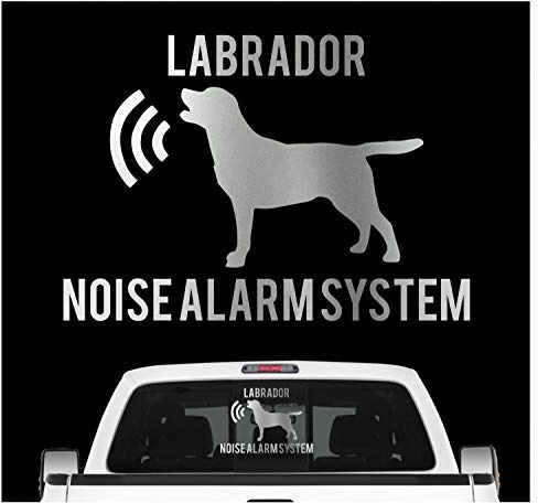 siviwonder Labrador Noise Alarmsystem Auto Aufkleber Hund Folie Labby Retriever Lab Farbe Silber Metallic, Größe 10cm