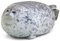 SiSfeL Seal Plüschtier Kuscheltier - Graue Robbe, Plüschtier-Schlafkissenspielzeug für Kinder und Erwachsene (30cm)
