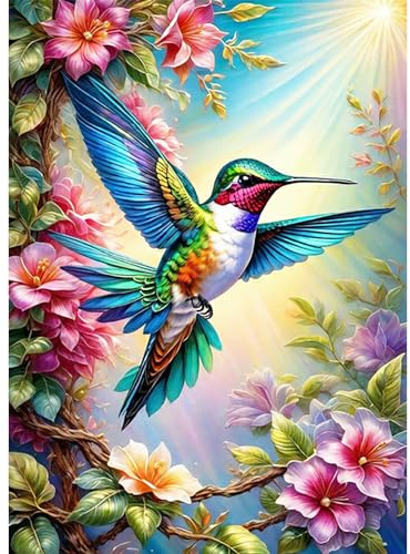 AIRDEA 5D Schöner bunter Kolibri Diamond Painting Erwachsene, DIY Diamond Painting Bilder Erwachsene, Diamantmalerei Bastel Set Nach Zahlen Heimdekor Geschenk 30x40cm
