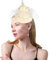 Focupaja Fascinator Hüte Damen Pillbox Hut mit Mesh Schleier Federn Derby Stirnband Hochzeit Kopfbedeckung Tea Party Haarspange 1950er Vintage Fascinator W4-27-Beige