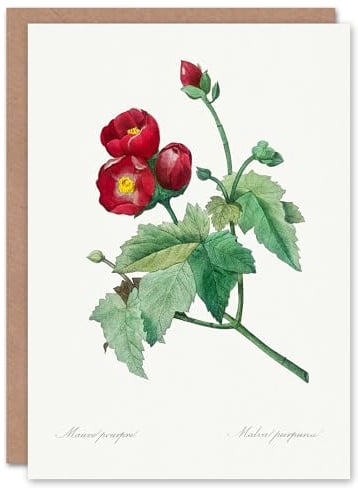 Artery8 Pierre-Joseph Redouté Art Card Callirhoe Poppy Mallow Flower