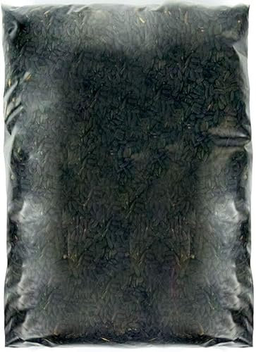 SQUAWK Graines de Tournesol Noir - Nourriture pour Oiseaux Sauvages Riches en Huile pour Jardin (10kg)