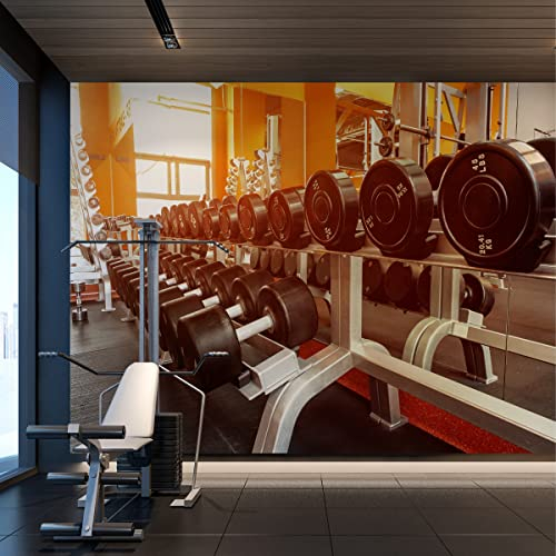 Muralo VLIES FOTOTAPETE 254x184 TAPETE Wandtapeten HANTELN Sportgerät Fitness Wohnzimmer Schlafzimmer Moderne Wandbilder XXL Wand Dekoration Abstrakt Luxus Br. 254 cm x Hö. 184 cm