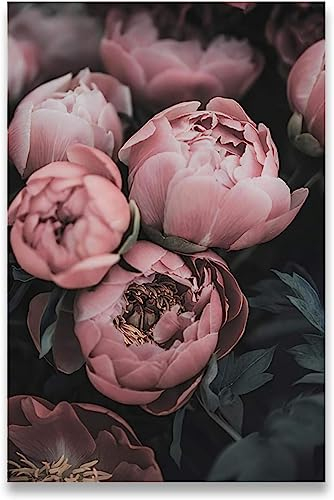 HTWLMM Leinwand Bilder Pfingstrose Rose Blume Malerei Poster Kunstdruck für Wohnzimmer Schlafzimmer Wandbilder Deko (Rahmenlos) (40X60CM)