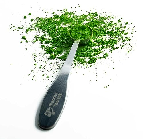 MatchaTherapy Cuchara medidora de té Matcha, 1 gramo, 1 porción, acero inoxidable premium, taza medidora, duradera y apta para lavavajillas, Scoop