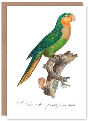 Artery8 Francois Levaillant Art Card The Yellow Headed Amazon Parrot
