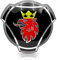 1 x Aufkleber für Scania Griffin, für LKW, individuelles Logo, Kühlergrill, Motorhaube, Emblem, Aufkleber (schwarz)