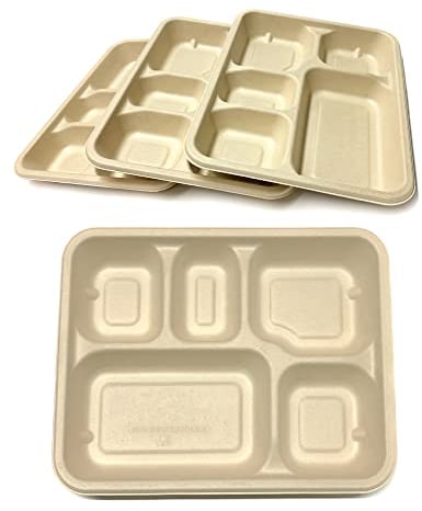 DISPOSABLE GREEN® | 28 cm x 22 cm | Assiette rectangulaire avec 5 compartiments | 25 pièces | Super solide | Bagasse de canne à sucre non blanchie | Maison compostable, biodégradable