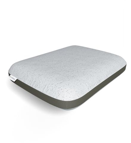 htconfort , Oreiller Thalasso Bambou, 60x40, à Mémoire de Forme, Enrichie au Charbon Actif de Bambou