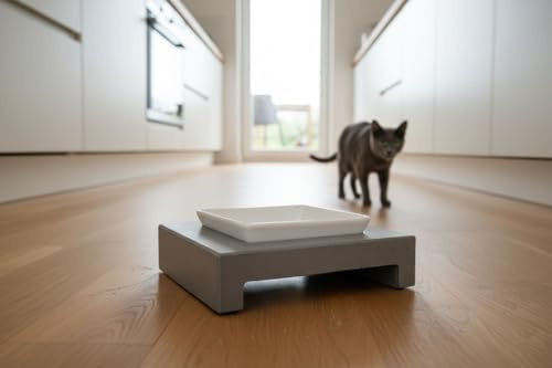Fressnapf aus Beton inkl. Keramikeinsatz - GRAURAUM Handarbeit (1-Fach)