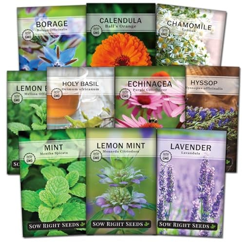 Sow Right Seeds - Large Herbal Tea Garden Seed Collection - Lemon Balm, Mint, German Chamomile, Lavender, Echinacea, Lemon Mint, Calendula, Borage, Marjoram, Peppermint Non-GMO Heirloom Seeds
