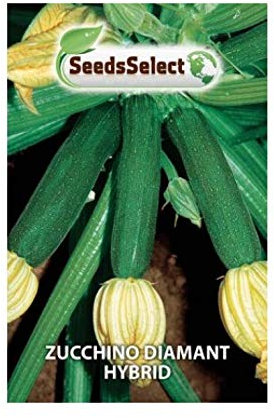 Semi Zucchino Diamant Hybrid F1 busta n semi ca 20