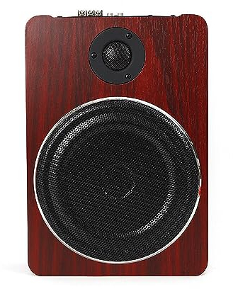 SABUIDDS 8 Zoll Subwoofer, 345x240x68mm, 600W Car Audio aktives Subwoofersystem für den Untersitz, Aluminium-Gehäuse/Holz-Gehäuse, Aktivsubwoofer für Autos mit 12V Netzteil (Holz-Gehäuse)