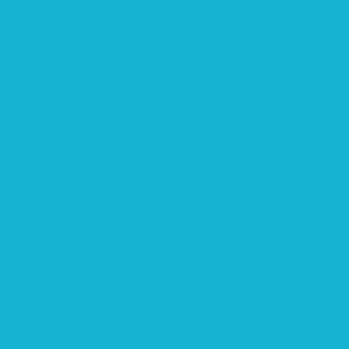 Ant Smart Adhesive Permanent Vinyl Compatible with Cricut Explore and Maker Series Without Cutting Mats, Create DIY Projects, Decals, Stickers & More (Light Blue, 33.0 cm x 30.5 m)