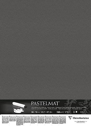 Clairefontaine 96009C Packung (mit 5 Zeichenbögen Pastelmat, 50 x 70 cm, 360 g, ideal für Trockentechniken und Pastell) anthrazit