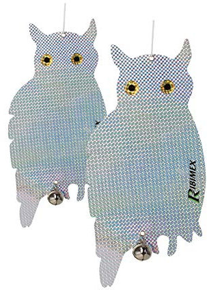 Chouette Épouvantail.