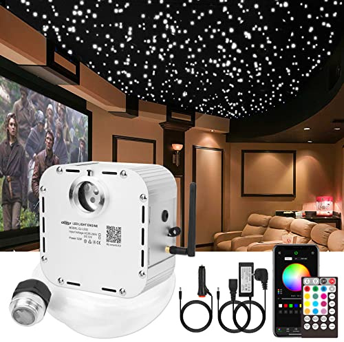 CHINLY Bluetooth 32W RGBW Twinkle LED Fiber Optic Star Deckenleuchten Kit APP/Fernbedienung 1000cs*0.75mm*5m+10 Kristalle für Zuhause/Auto