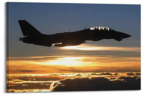 YIBIN Luftfahrt-Poster F14 Tomcat Poster, dekoratives Gemälde, Leinwand, Wandposter und Kunstbild, modernes Familien-Schlafzimmer, Dekor-Poster, 30 x 45 cm