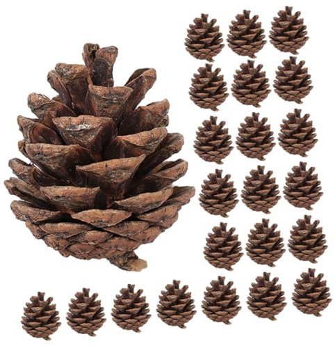 Supvox 30Stücke Kiefernzapfen Für DIY Weihnachtsbaum Dekoration Handgefertigte Ornamente Für Kranz Und Bastelprojekte Natürliche Für Festliche Deko