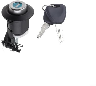 Honseadek Serrure de coffre de rechange pour porte arrière Dacia Logan Sandero Duster 2008-2013, cylindre de serrure de hayon avec 2 clés, numéro de pièce 905020198R
