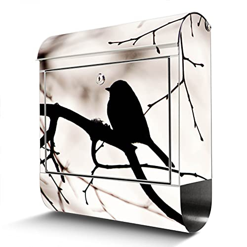 banjado® Briefkasten Edelstahl mit Motiv Früher Vogel 38x43x12cm & 2 Schlüssel - rostfreier Edelstahl Briefkasten mit Zeitungsfach - Postkasten A4 Einwurf inkl. Montagematerial