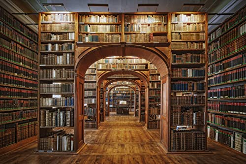 BIBLIOTHEK Fototapete VLIES-250x186 cm (6773A)-Bücherei Holz Struktur Design Fotokunst Wandtapete-Inkl. Kleister-Vliestapete Bild Dekoration Wand-Dekor Moderne Motiv-Tapete Panorama Poster XXL