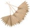 GLEAVI 4 Piezas Decoración Palma Secas para Bodas y Fiestas de Adornos Únicos para Arreglos Diy Decoración Bohemia y Natural para