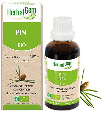 HERBALGEM - Macérât-Mère - Pin des Montagnes Bio - Complément Alimentaire Gemmothérapie Concentrée - Extrait De Bourgeon Frais - Pour Voies Respiratoires & Santé Des Os - Vegan - 30 ml