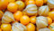 Bingenheimer Physalis Schönbrunner Gold, Bio, 1 Portionstüte 0,05 g - reicht für ca. 30 Pflanzen