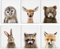 EPHANY YMX014 Baby-Tier-Poster und -Drucke – Kaninchen, Hirsch, Fuchs, Leinwandgemälde, Kinderzimmer, Wandkunst, nordisches Bild, Kinderzimmer-Dekoration, 20 x 25 cm