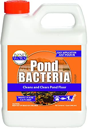 Pond Worx Pond Bacteria - Concentrated & Formulated for Large Ponds, Water Features - Safe for Koi - 32 Ounces & Treats up to a Quarter Acre Pond