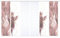 HOME in green 84058 | SIGNUM Schiebegardine recyceltes Polyester Bambusoptik 245x60, Farbe:rosé, Größe:245 x 60 cm, Anzahl:6er Set (2X Bedruckt. 2X Bedruckt. 2X Uni)