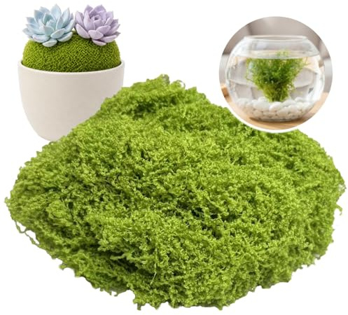 BOBPPOP 150g Hellgrünes Künstliches Moos, Flauschiges Biegsames Moos für Deko, Realistisches Islandmoos für Modellbau und Krippen, Vielseitiges Moos für Aquarium Deko