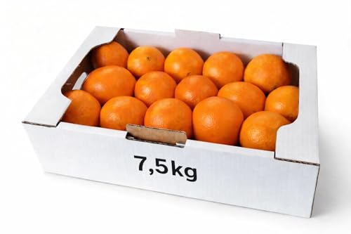 Premium Orangen LASARTE Spanien - saftige Tafelorangen - süße Apfelsinen (7,5 kg)