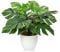Hollyone Plantas artificiales de Monstera de 37 cm, decoración de interiores, plantas tropicales falsas estéticas para decoración de habitación, dormitorio, oficina, hogar, escritorio