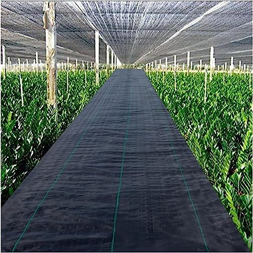 Toile de protection contre les mauvaises herbes - 60 cm de large - 90,7 g - Pour jardin, parterres de fleurs et étang - 10 m x 200 m de long - Bâche de protection durable - Désherbant - Dimensions :