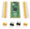 Raspberry Pi Pico Board Flexible Microcontroller Board Based on the Raspberry Pi RP2040 Chip Featured Dual-core ARM Cortex M0+, Flexible Clock Running up to 133 MHz