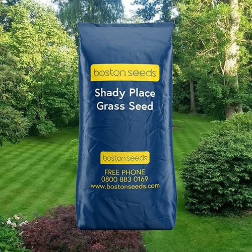 Boston Seeds Grass Seed for Shady Areas - Shady Lawn Seed (1 x 10kg)