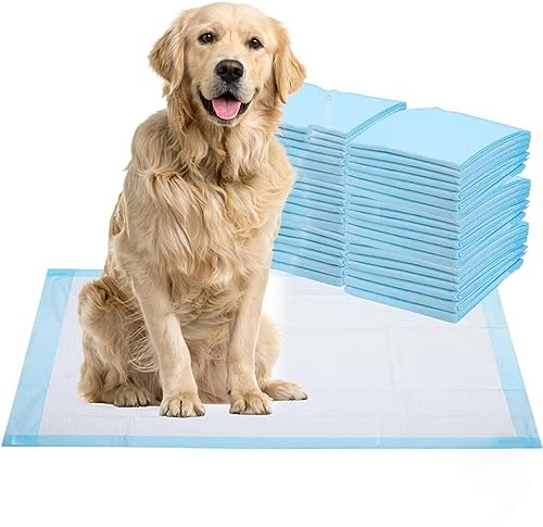Welpen Unterlagen 60 x 60cm, 100 Stück – Einweg Trainingsunterlagen für Hunde, extra saugfähig & auslaufsicherer 5-lagiger Aufbau mit schnell trocknenden Schichten & ungefährlichem Lockmittel