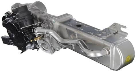 Valeo AGR-Ventil 700442 | Kompatibel mit: FORD GALAXY II, MONDEO IV, MONDEO IV Stufenheck, MONDEO IV Turnier, S-MAX